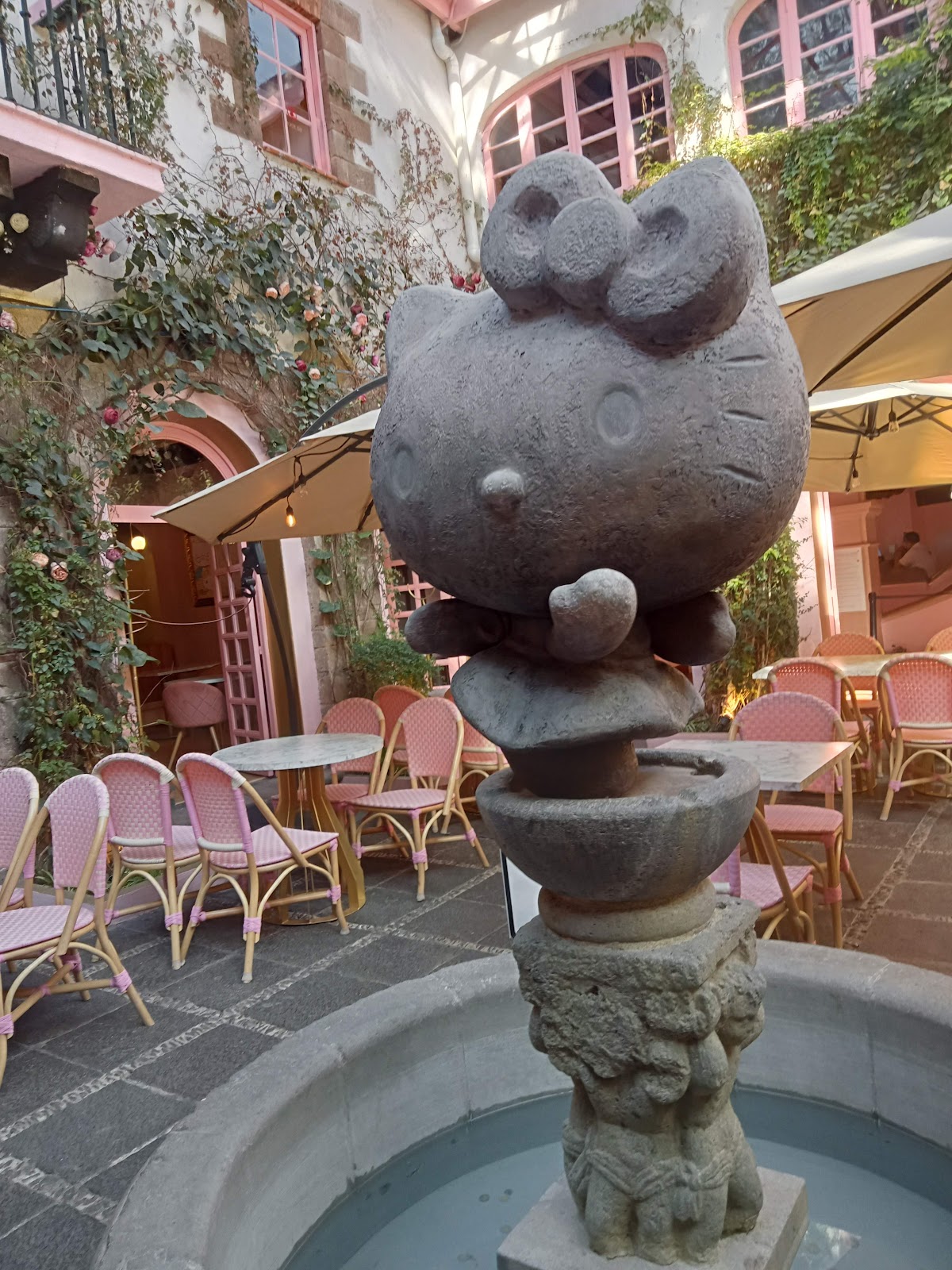 Plaza Catorce gallery 6