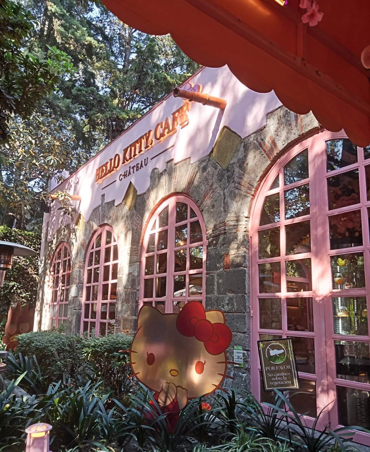 Plaza Catorce gallery 10