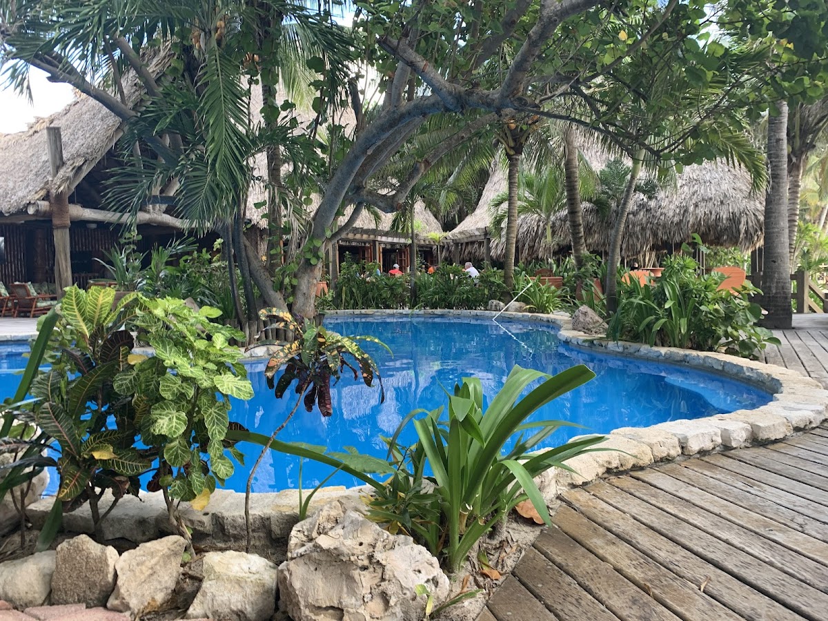 Ramons Village Resort gallery 4