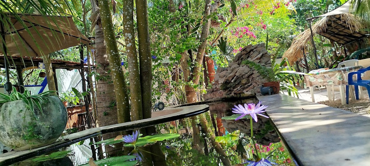 La Casa del Árbol gallery 9