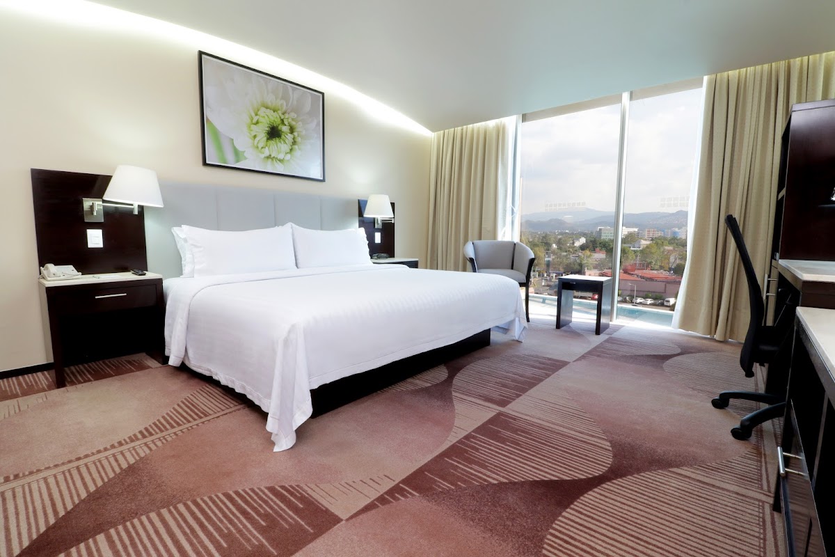 Holiday Inn & Suites Mexico Medica Sur gallery 7