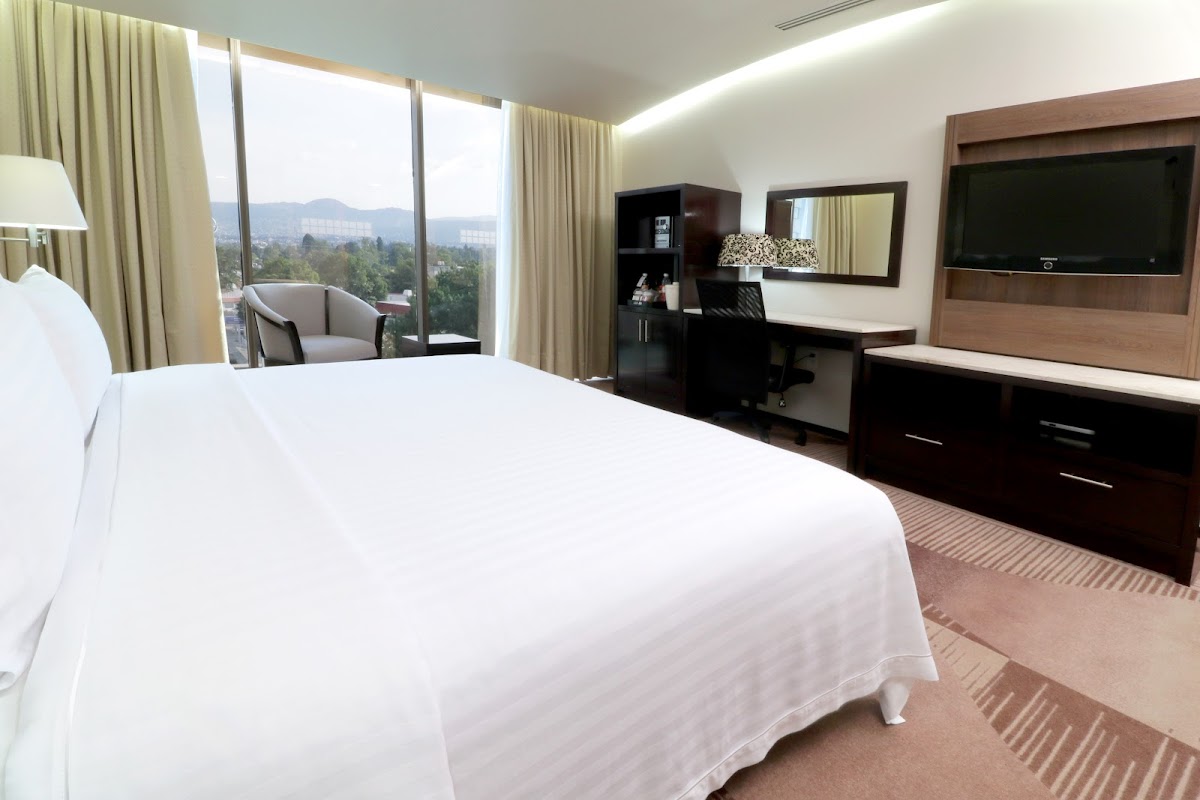 Holiday Inn & Suites Mexico Medica Sur gallery 8
