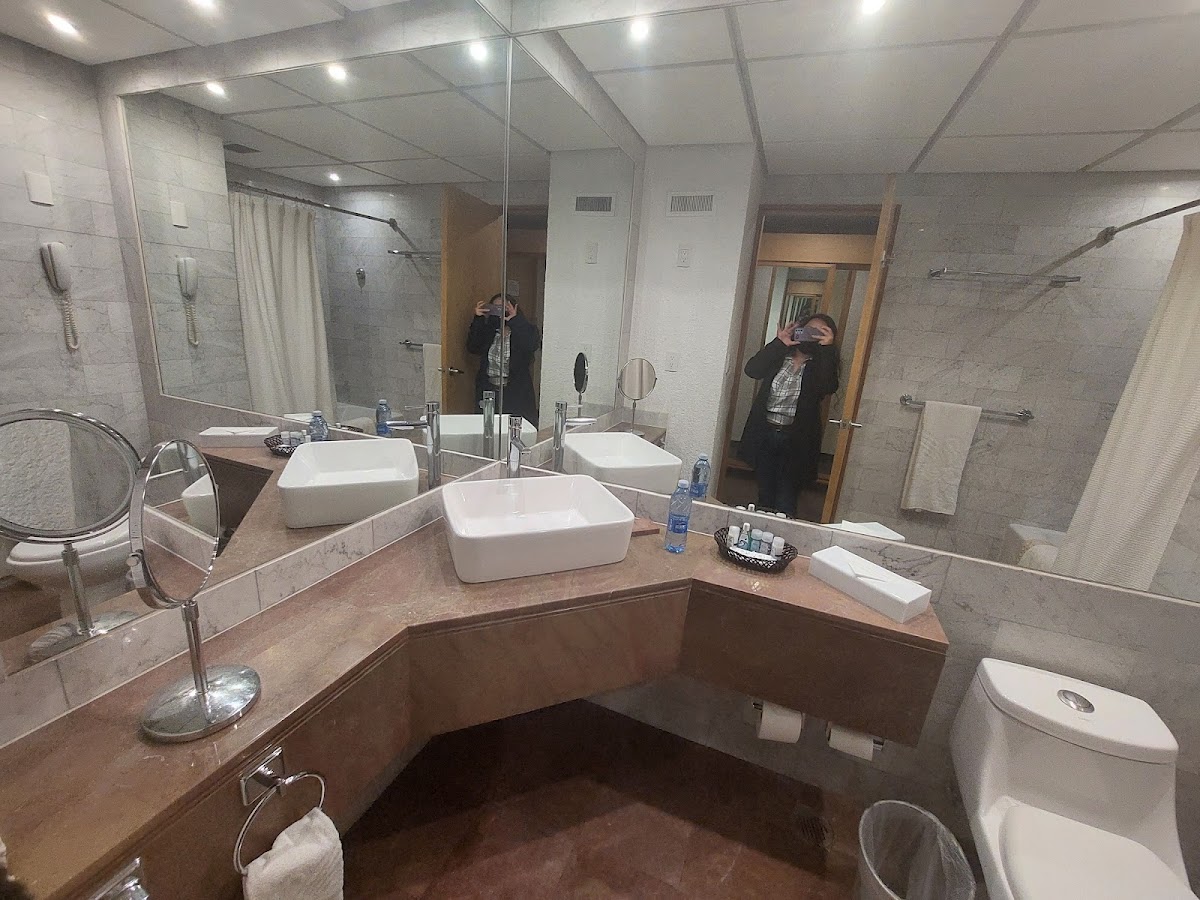 Royal Pedregal gallery 4