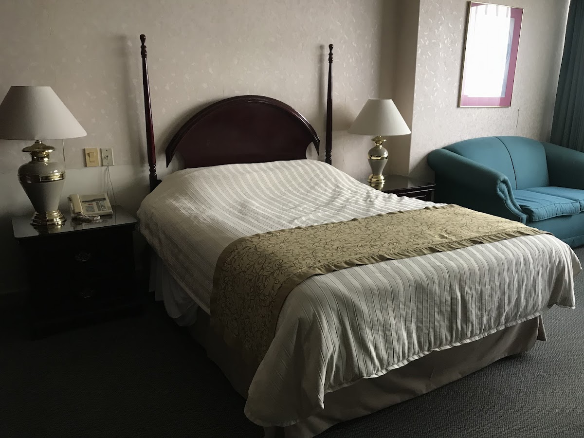 Hotel Pedregal Palace gallery 2