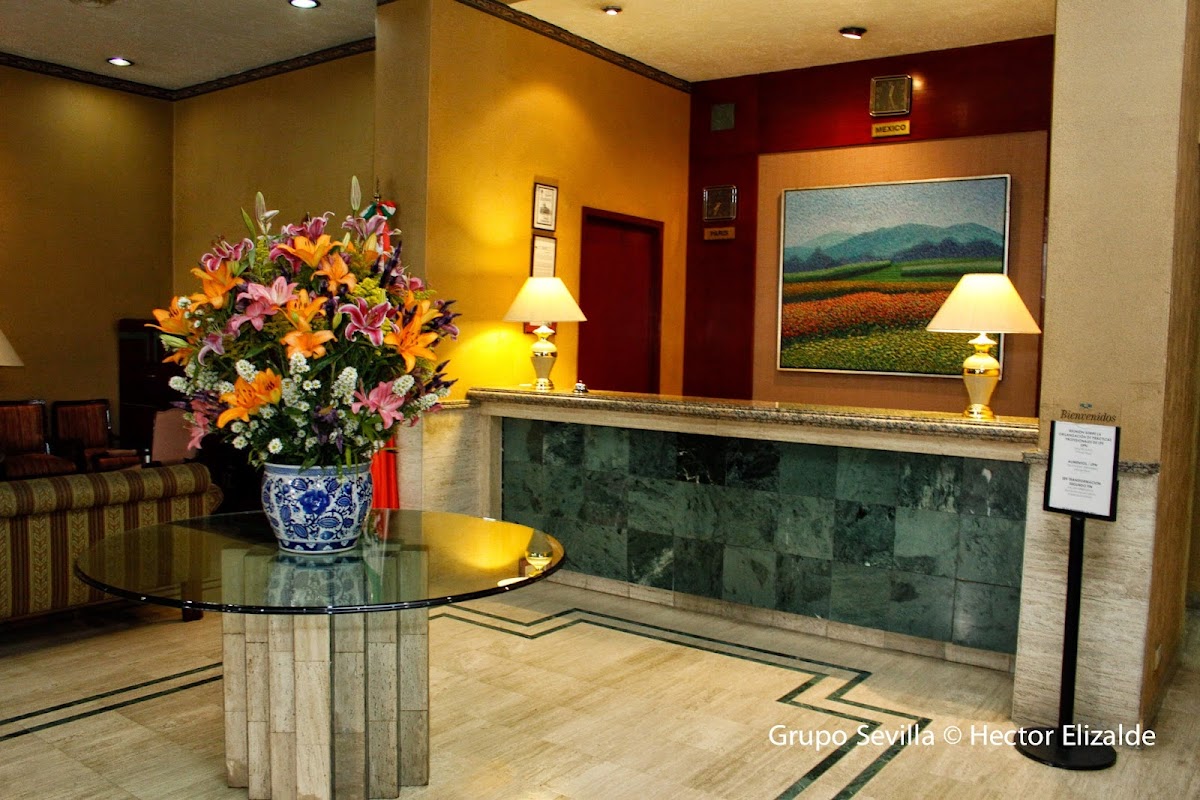 Hotel Pedregal Palace gallery 4