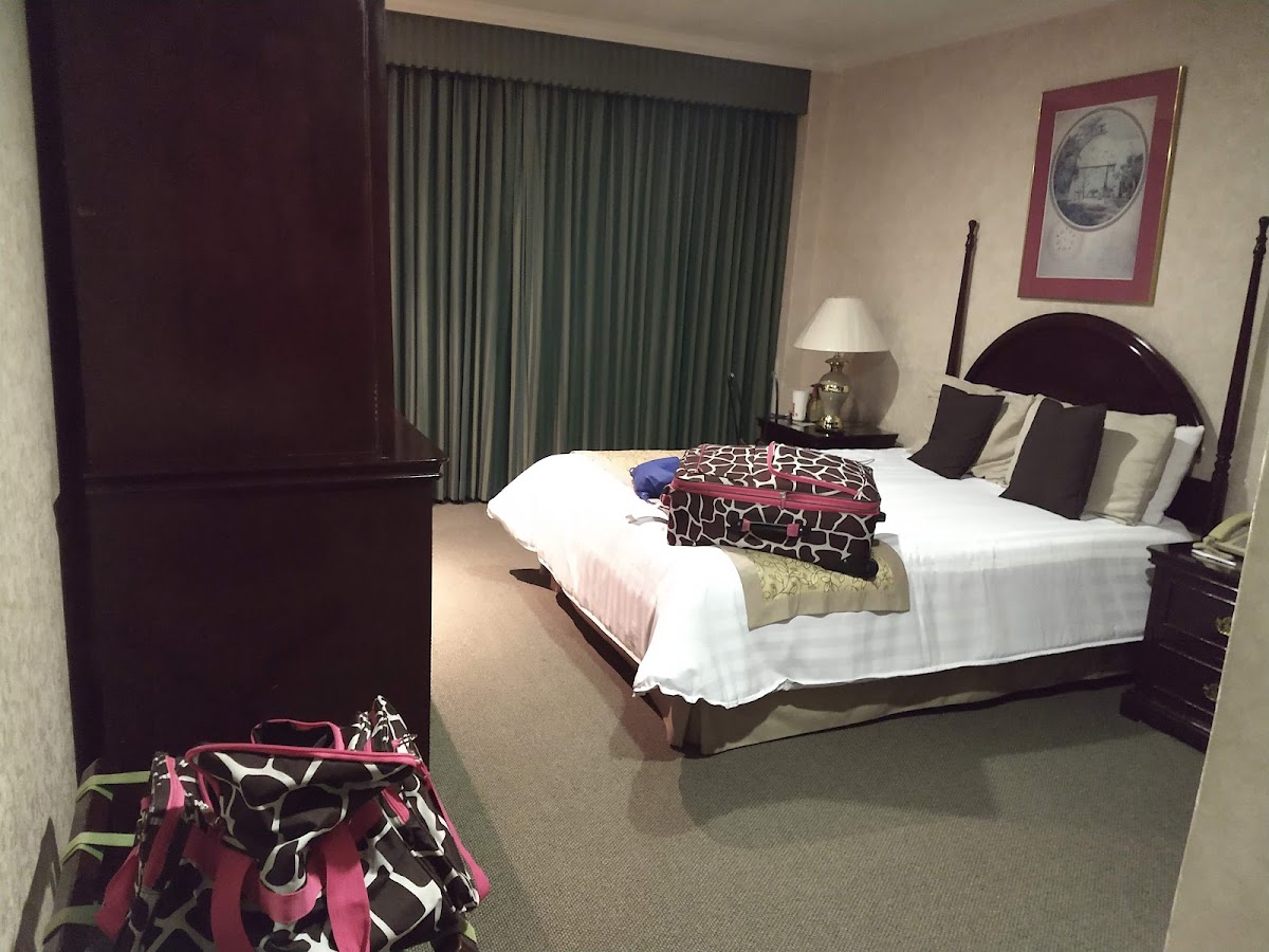 Hotel Pedregal Palace gallery 5