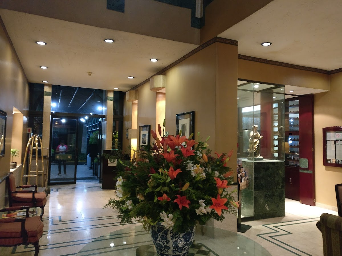 Hotel Pedregal Palace gallery 7