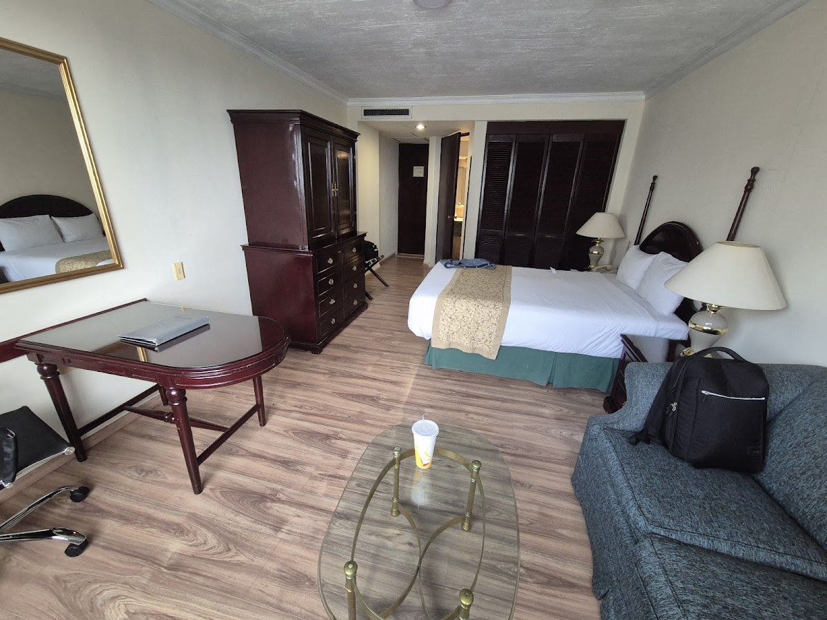 Hotel Pedregal Palace gallery 8