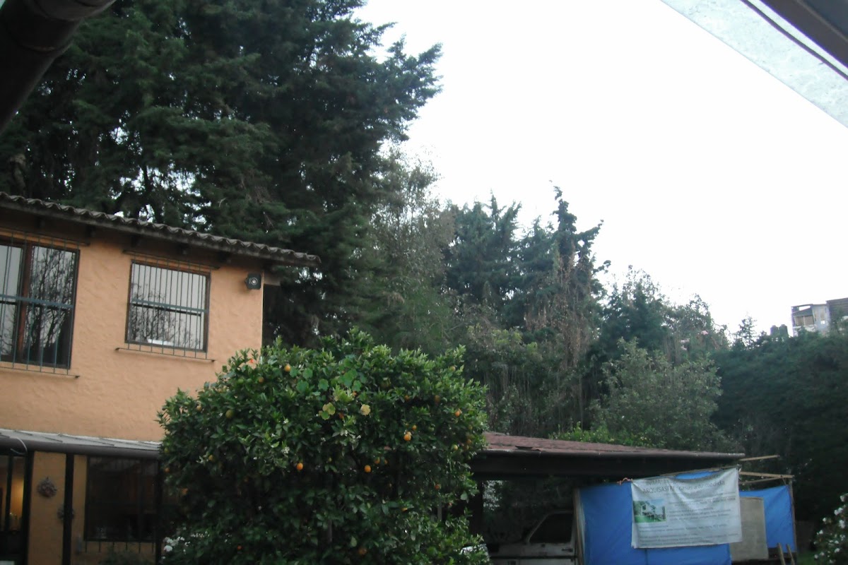 Casa Campestre del Mangrullo gallery 5