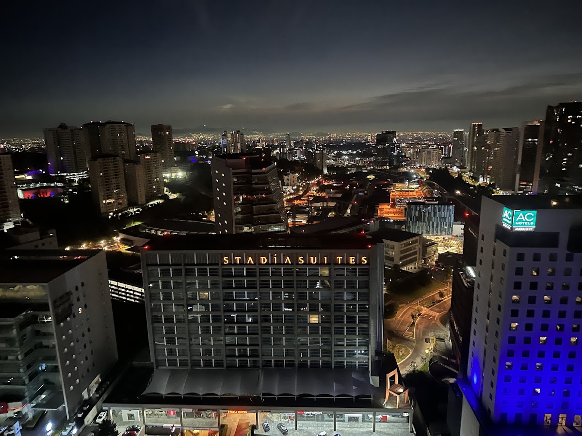 The Paragon Hotel Mexico City Santa Fe by Accor gallery 8