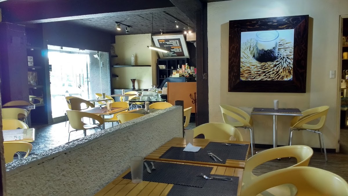 Aztic Hotel & Suites Ejecutivas gallery 6