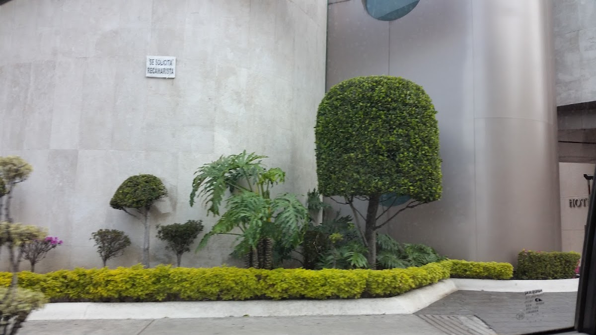 Hotel Leo gallery 9