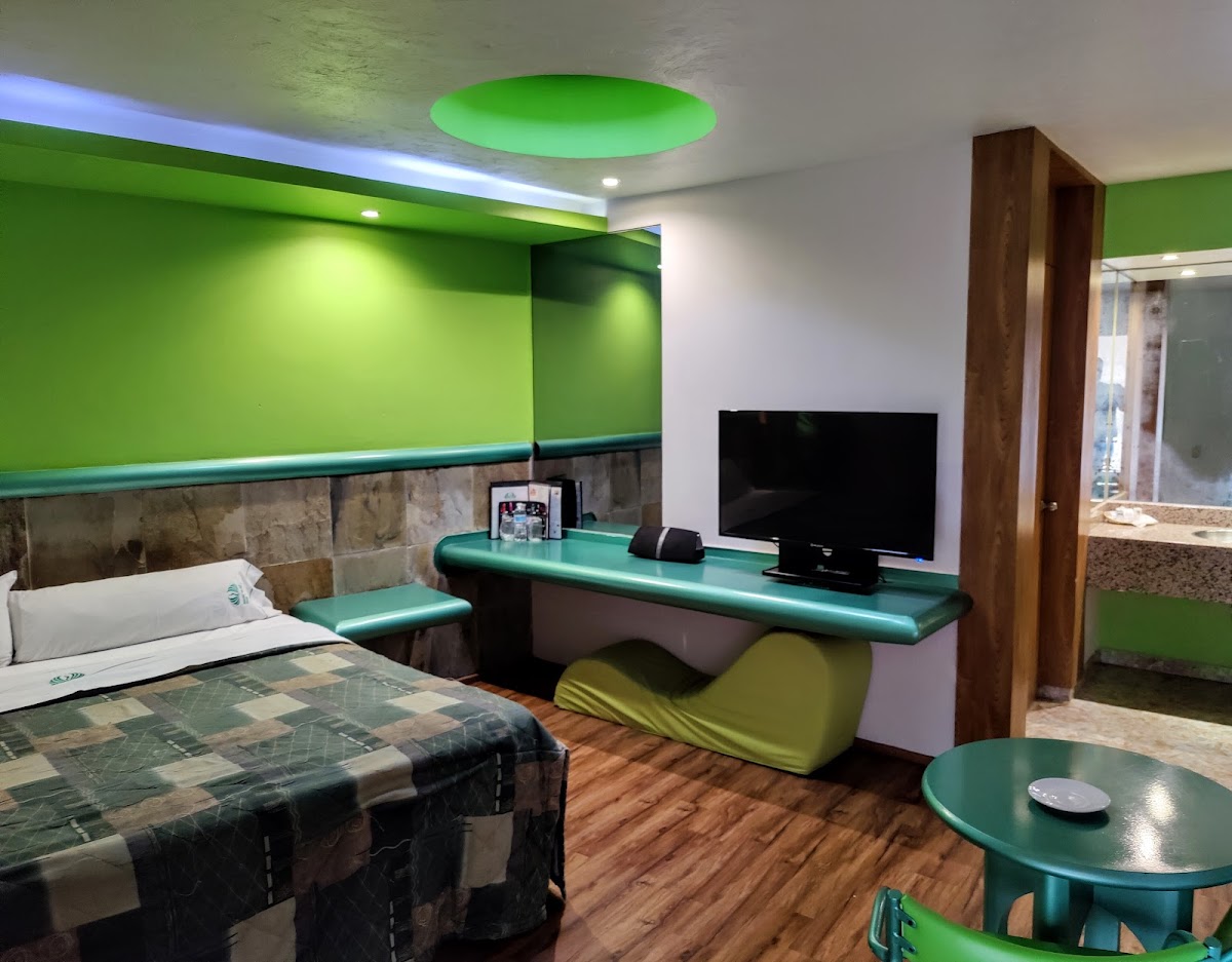 Hotel Paraiso del Sur - Tlalpan gallery 7