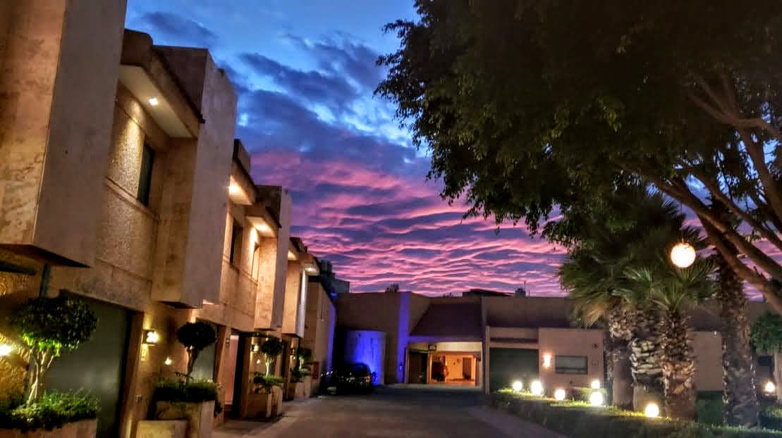 Hotel Paraiso del Sur - Tlalpan gallery 8