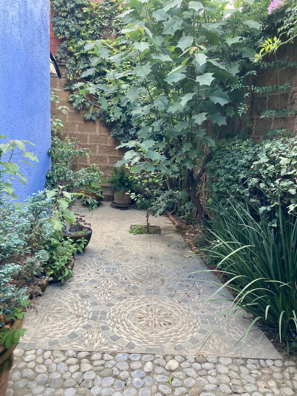 Hostal Las Hamacas gallery 5