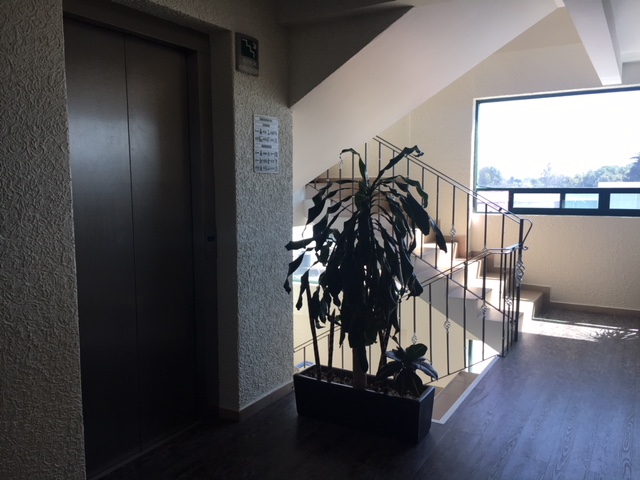 Hotel La Luna gallery 10