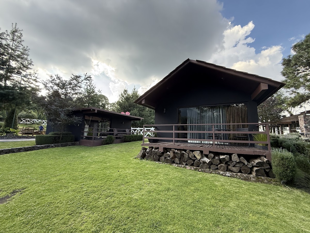 Organico Hotel Boutique cover