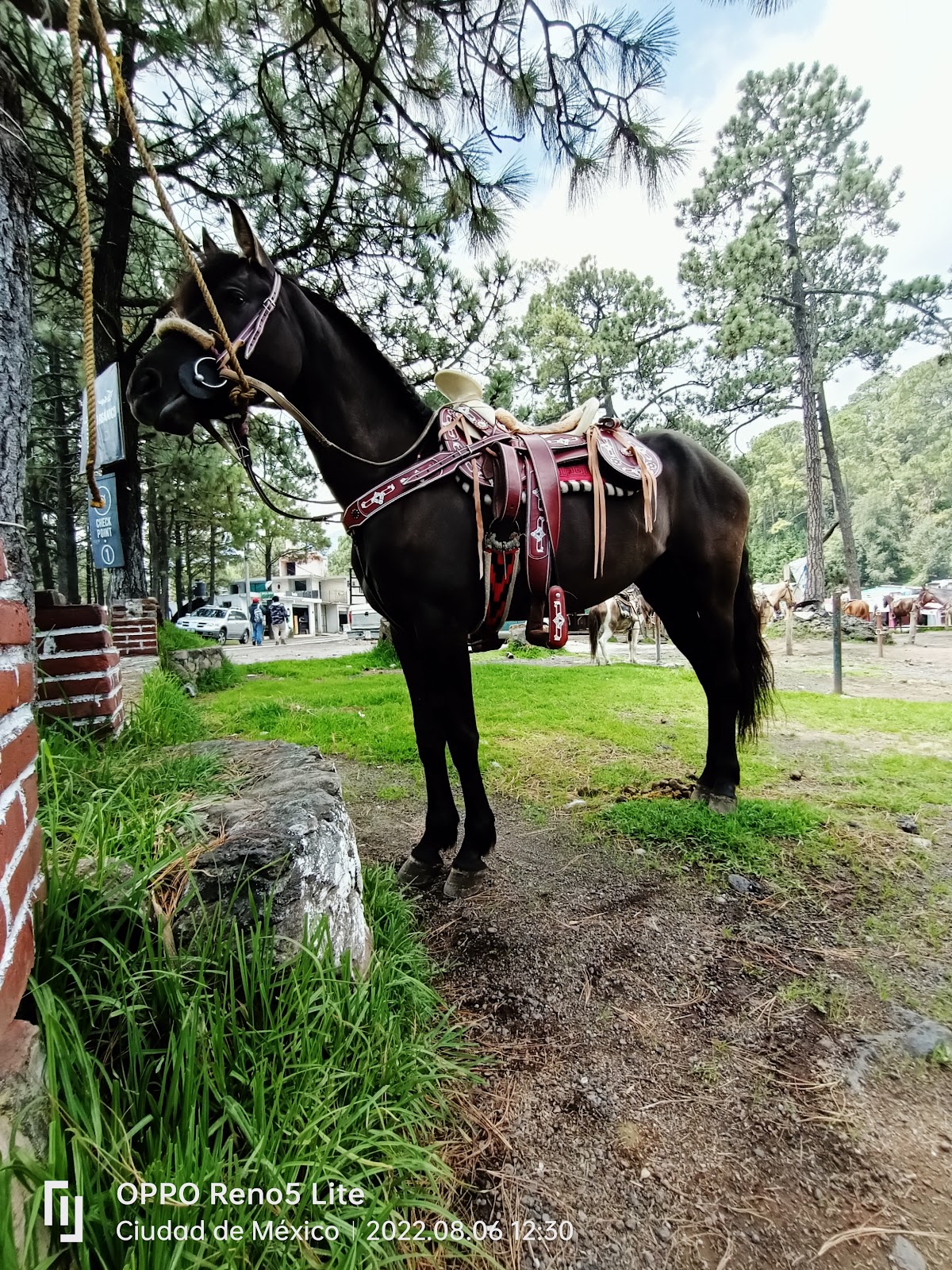 Rancho Didáctico La Poza Del Indio gallery 5