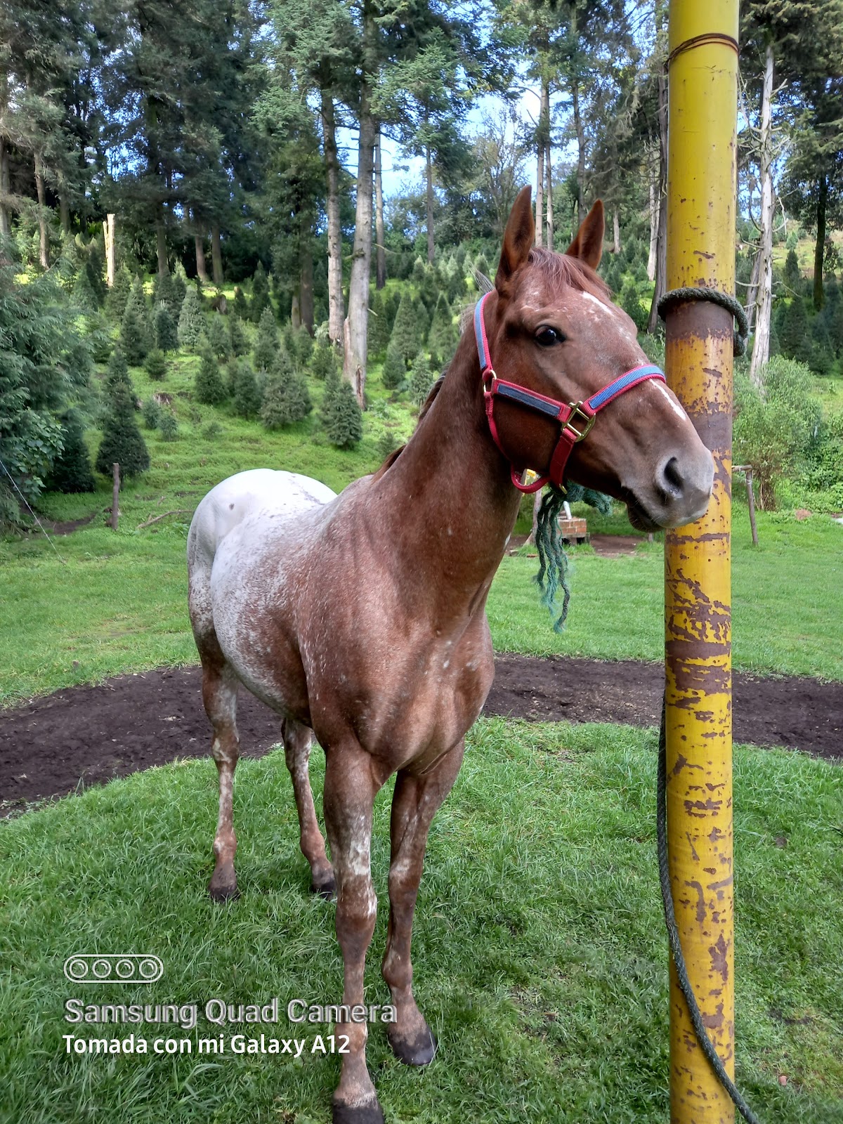 Rancho Didáctico La Poza Del Indio gallery 6