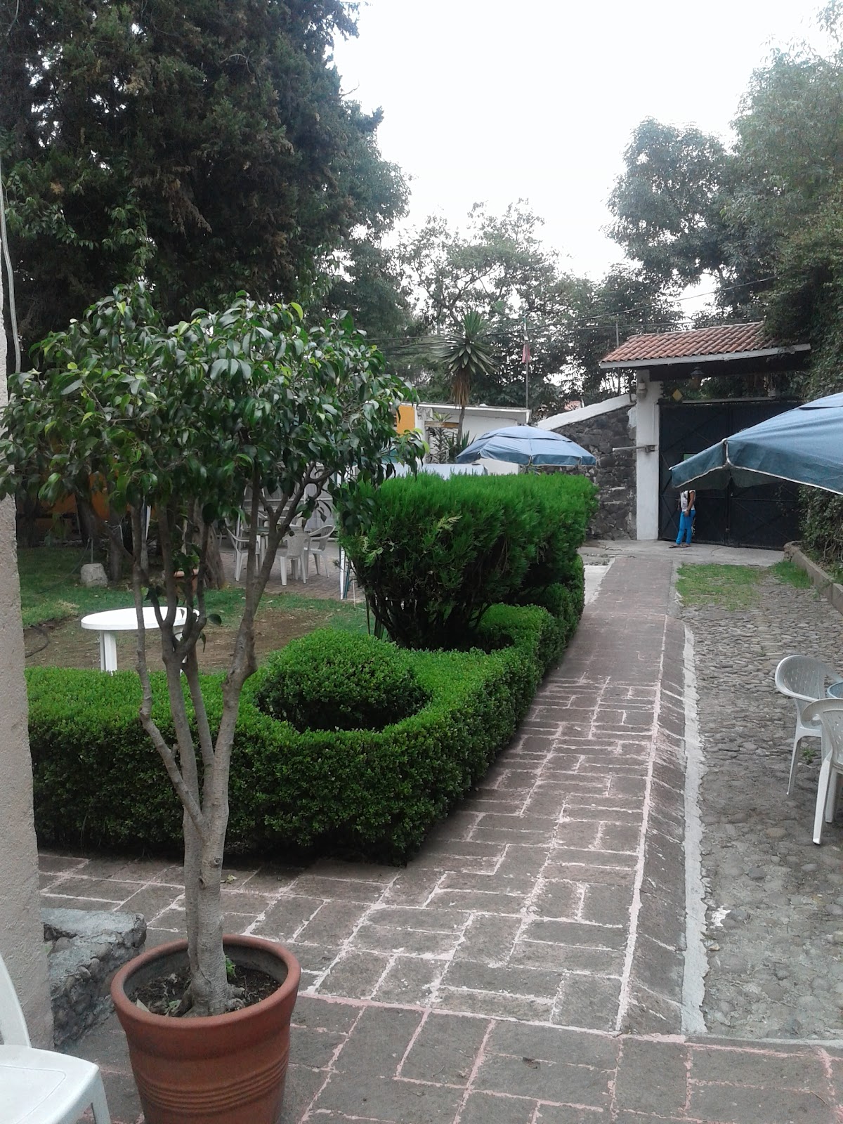 Residencia San Jose gallery 2