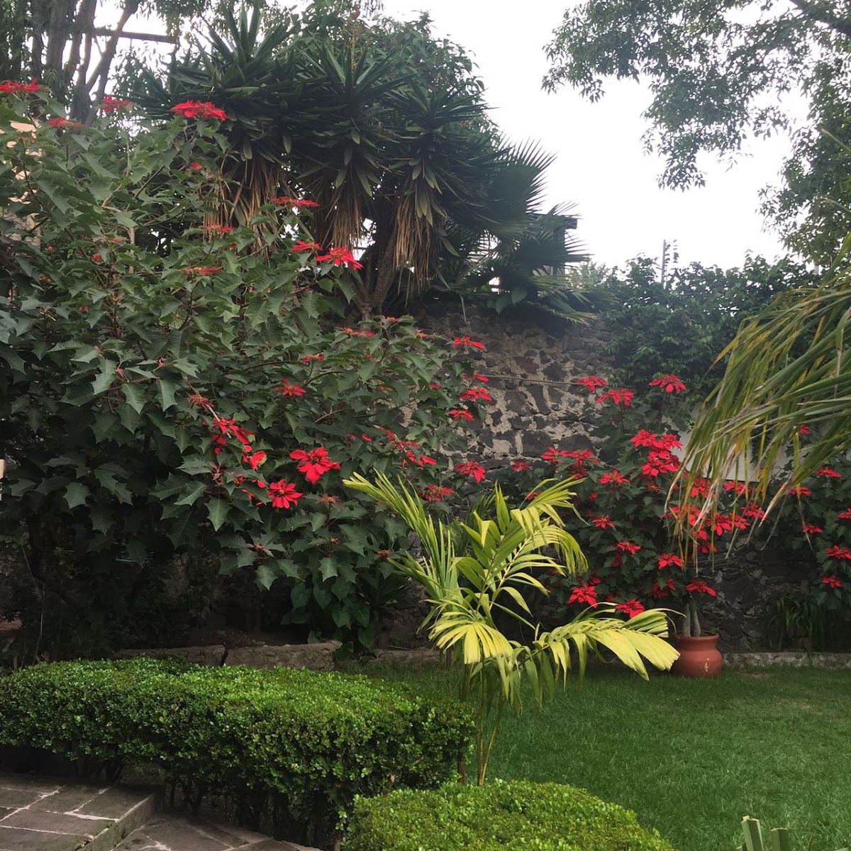 Residencia San Jose gallery 3