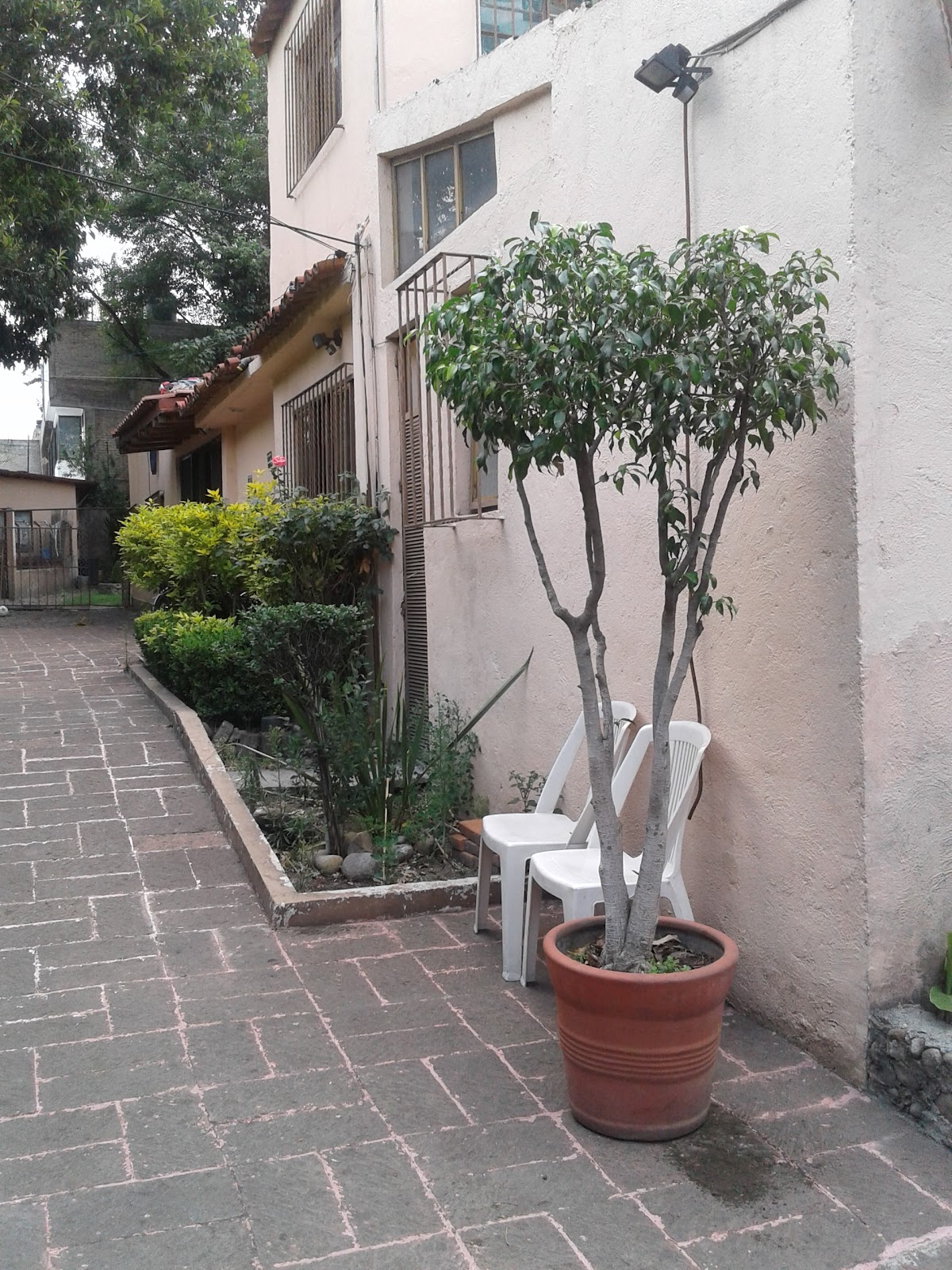 Residencia San Jose gallery 7