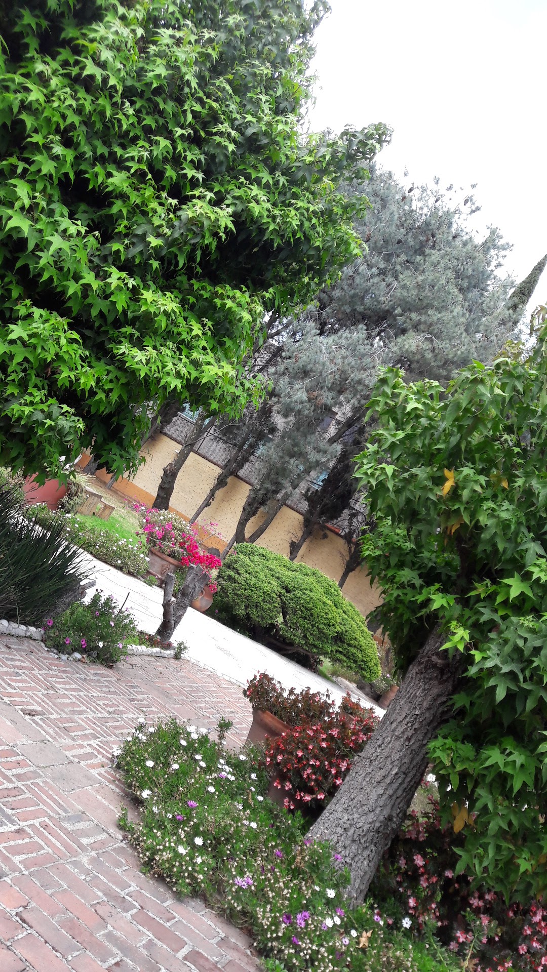 La Quinta de Xochimilco gallery 7