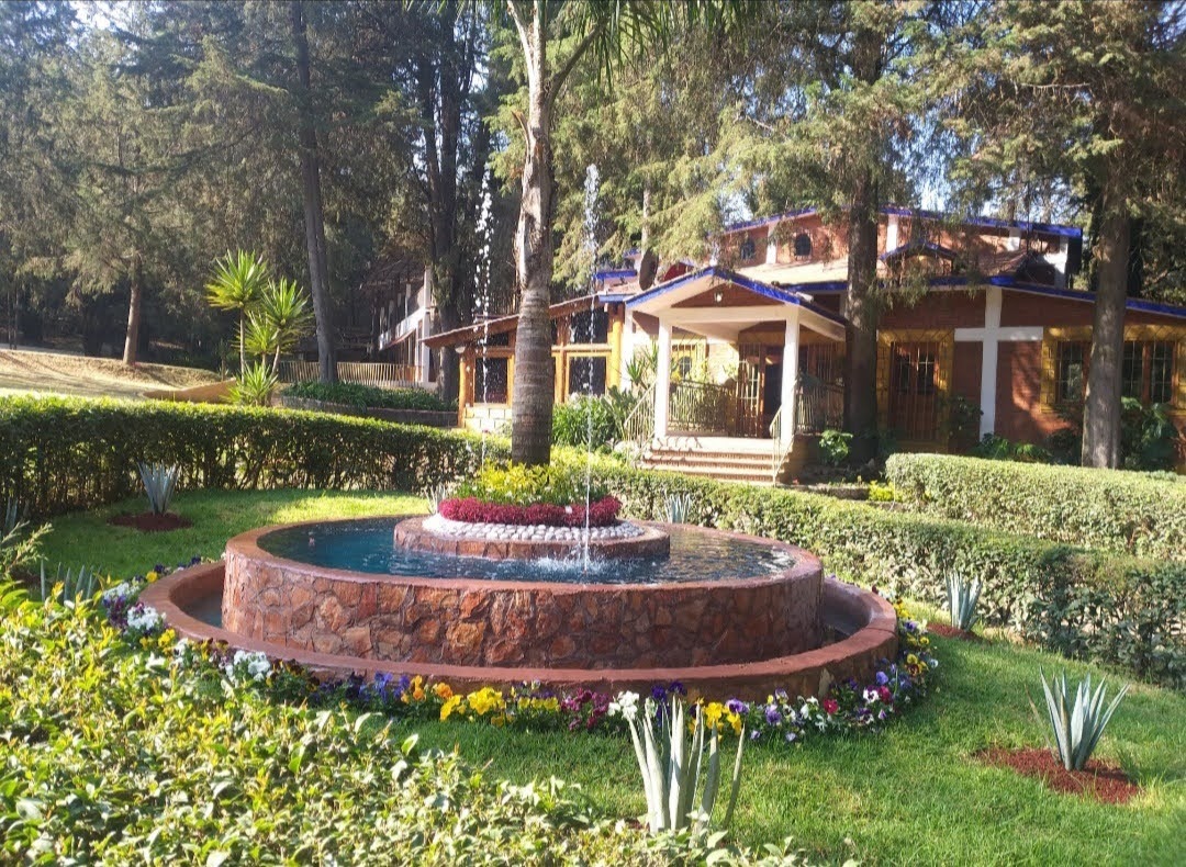 Quinta Alma Sofia Oficial gallery 4