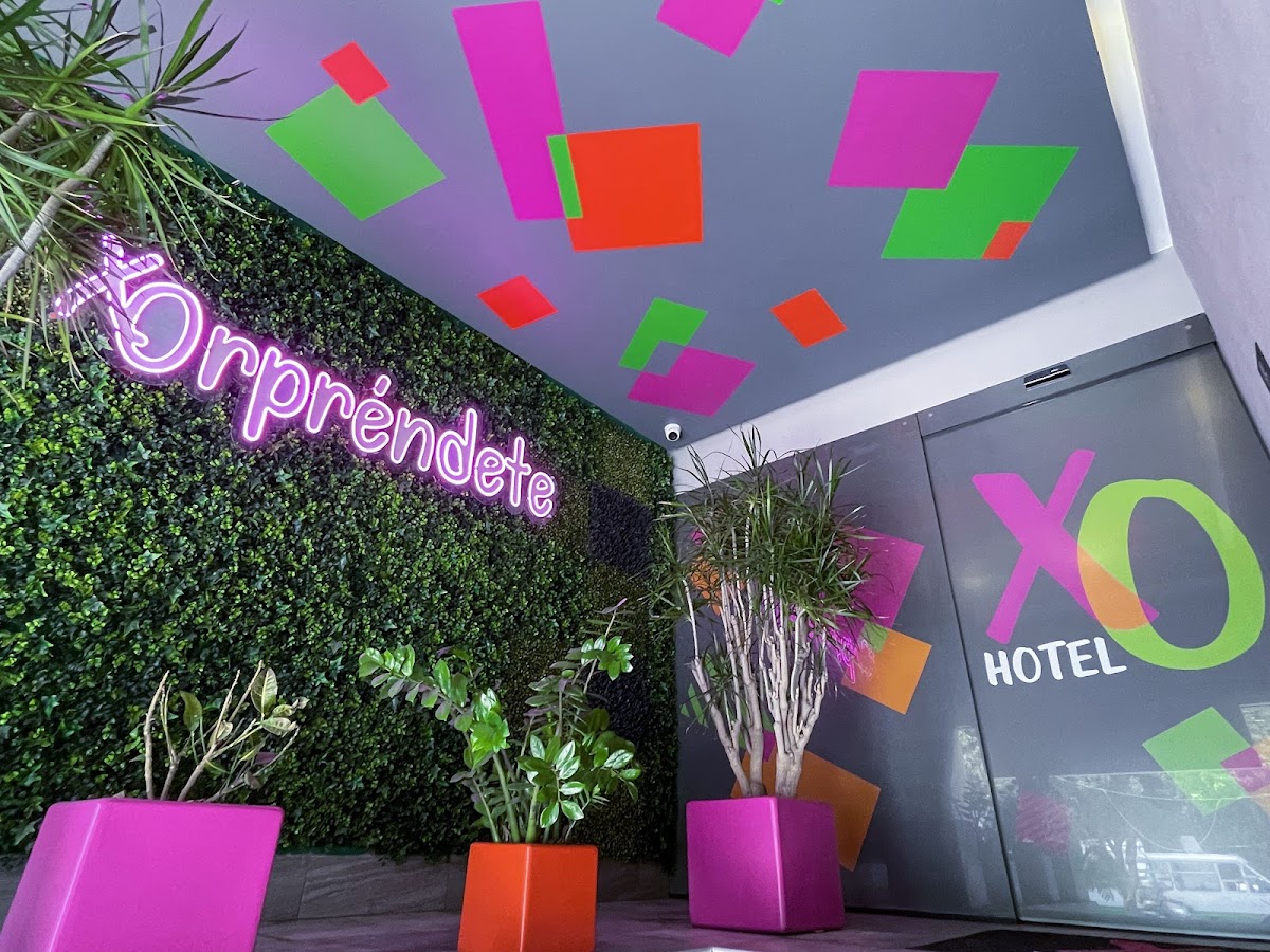 Hotel XO gallery 5