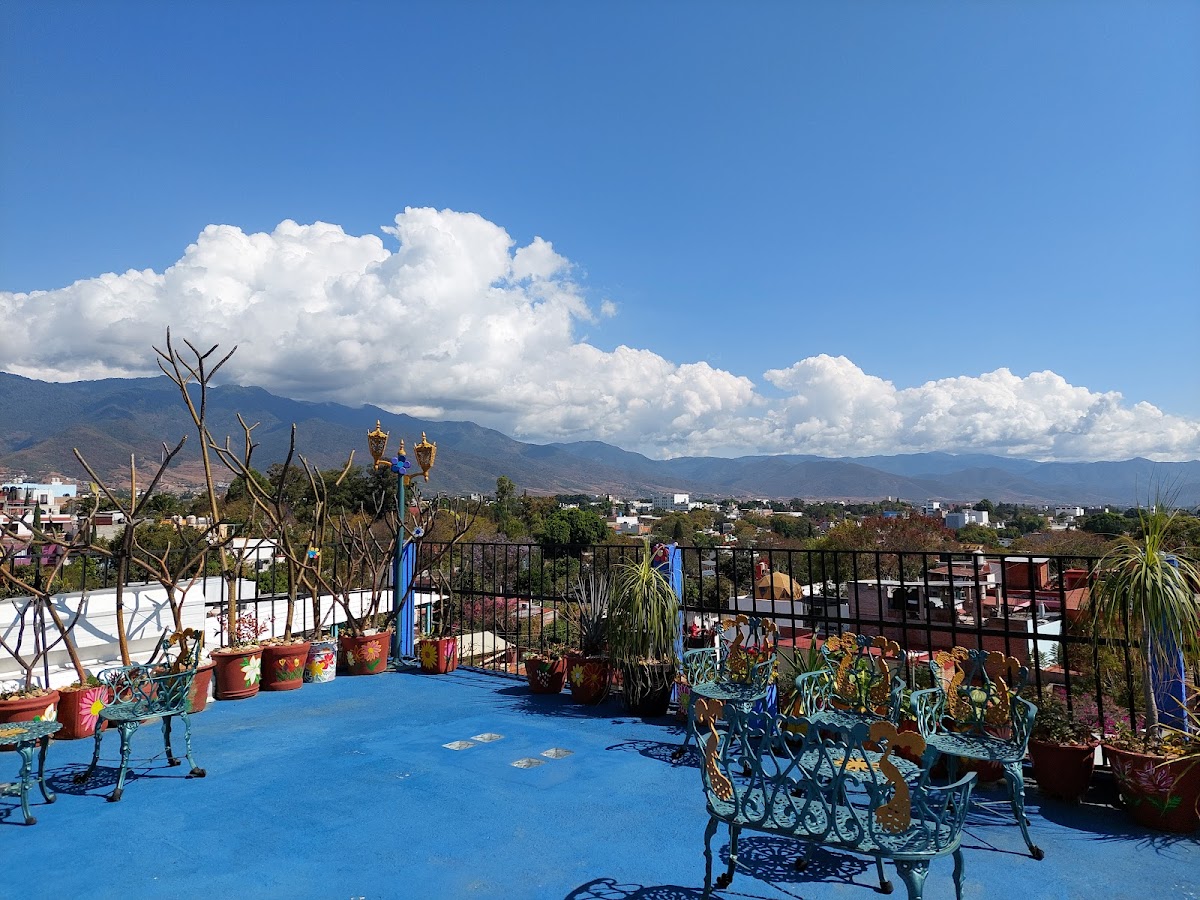 Casa Xochimilco gallery 3