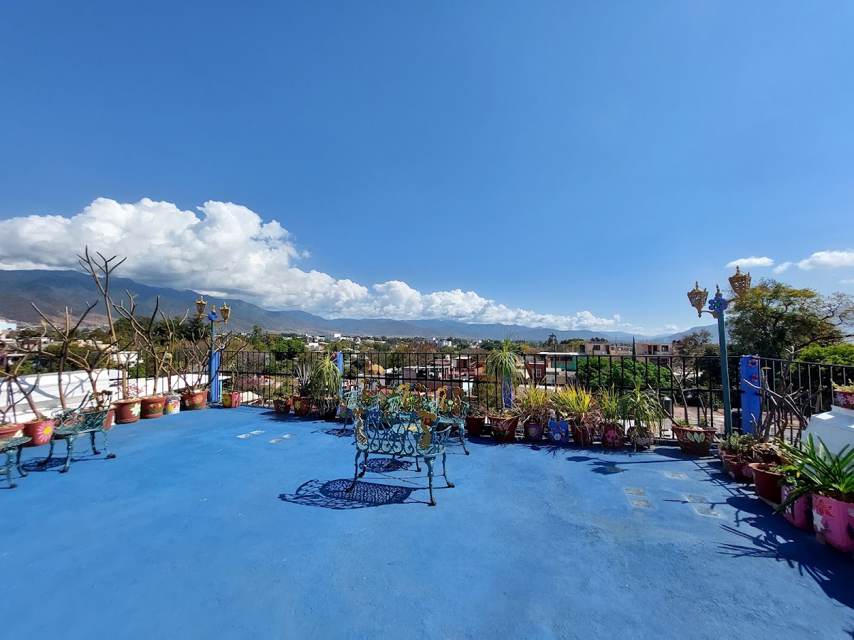 Casa Xochimilco gallery 5