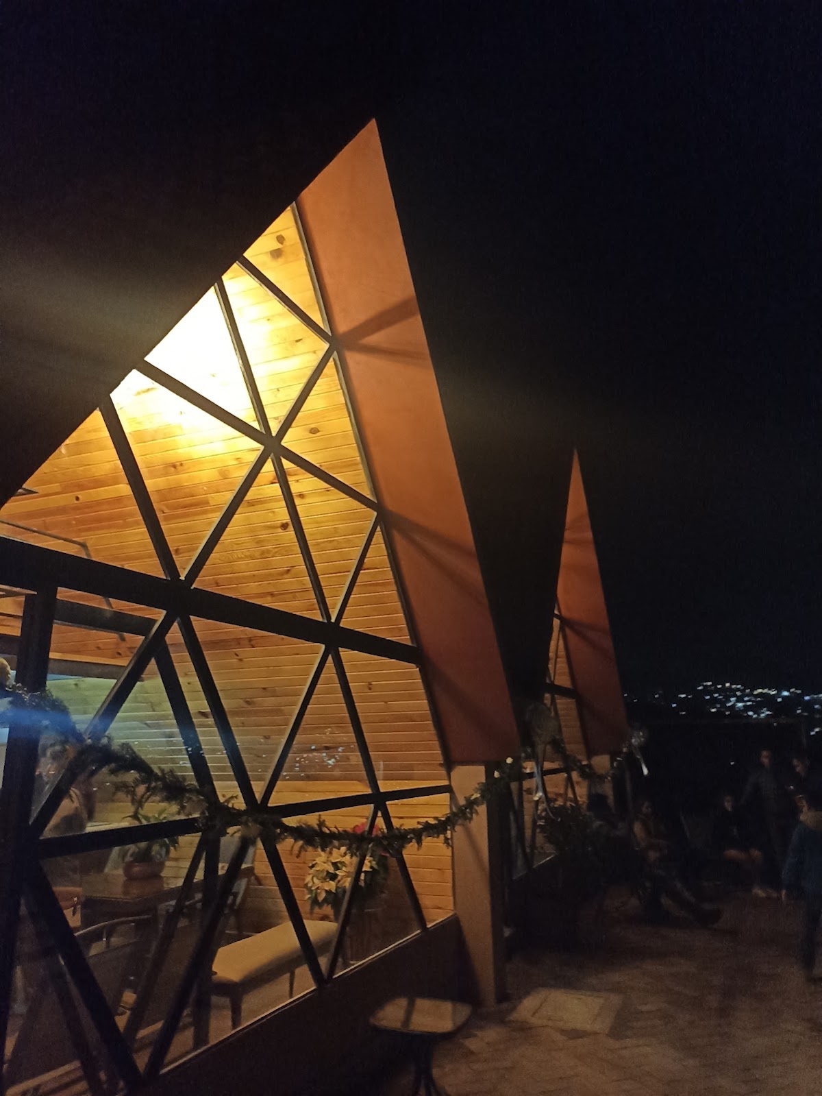 Nopalli Maguey gallery 3