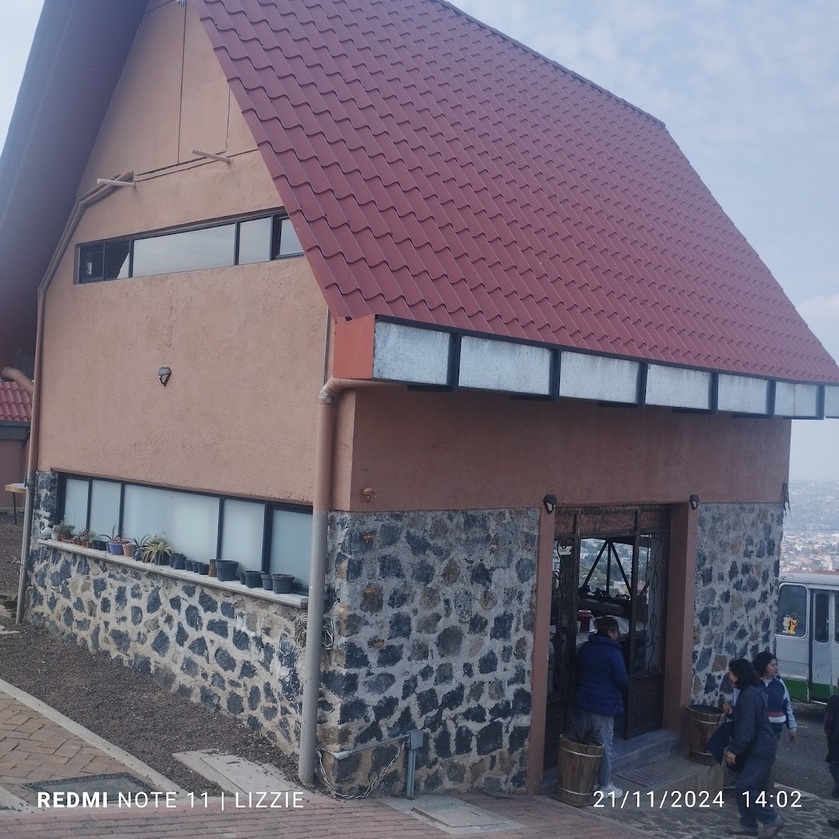 Nopalli Maguey gallery 10