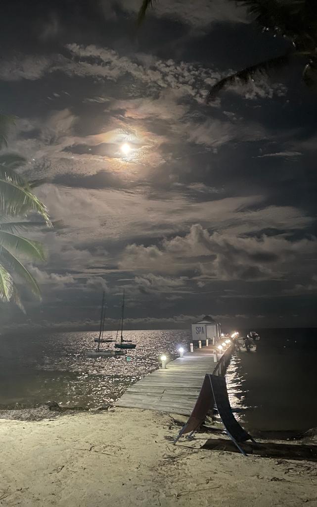 Caribbean Villas Hotel gallery 6