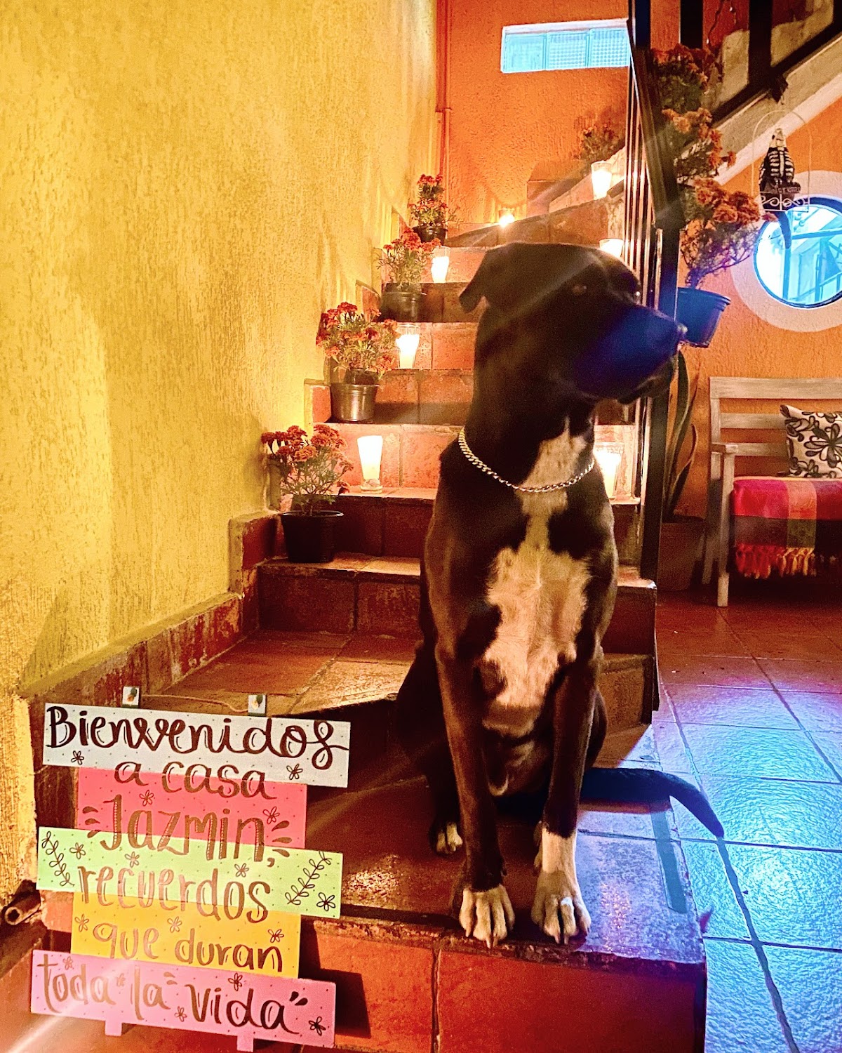 Casa Jazmín Xochimilco gallery 10