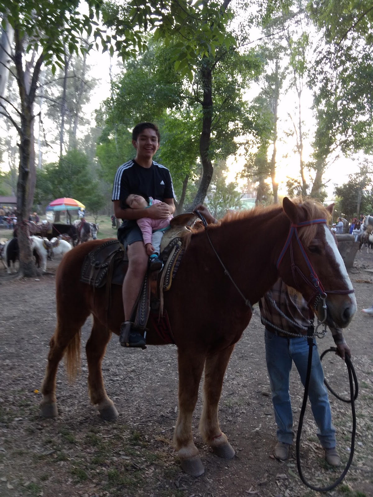 Bosque de Nativitas gallery 6