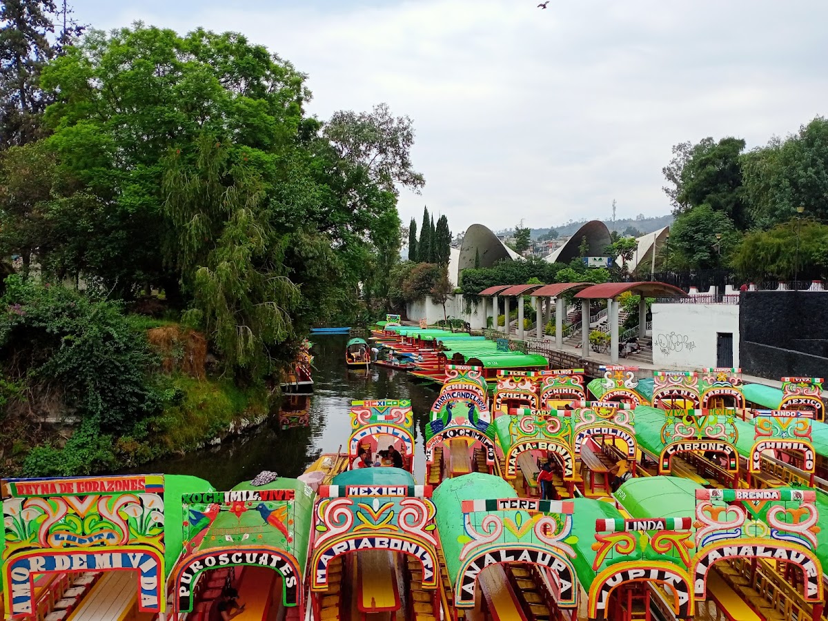 Bosque de Nativitas gallery 7