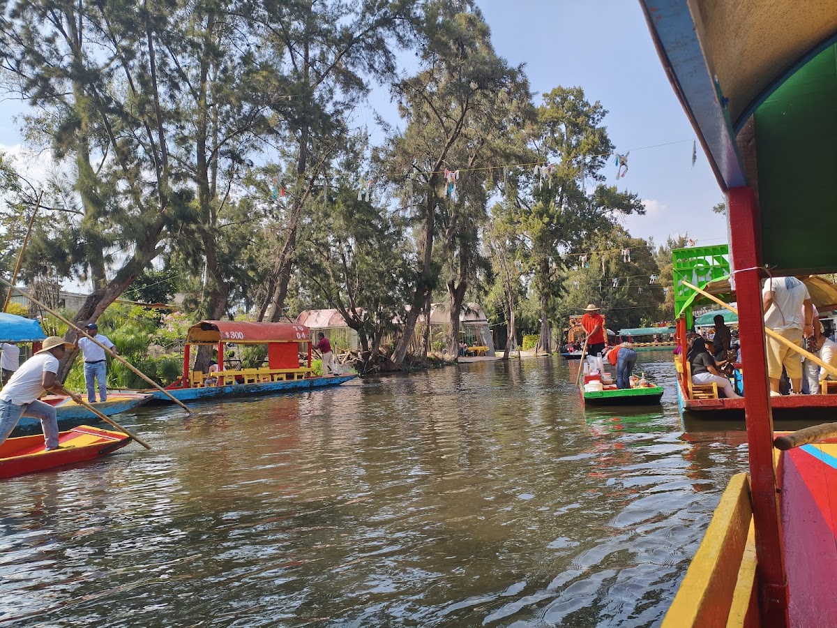 Bosque de Nativitas gallery 8