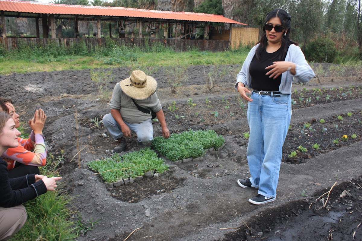 TONALLI, The last living legacy of the Aztec wetlands gallery 6