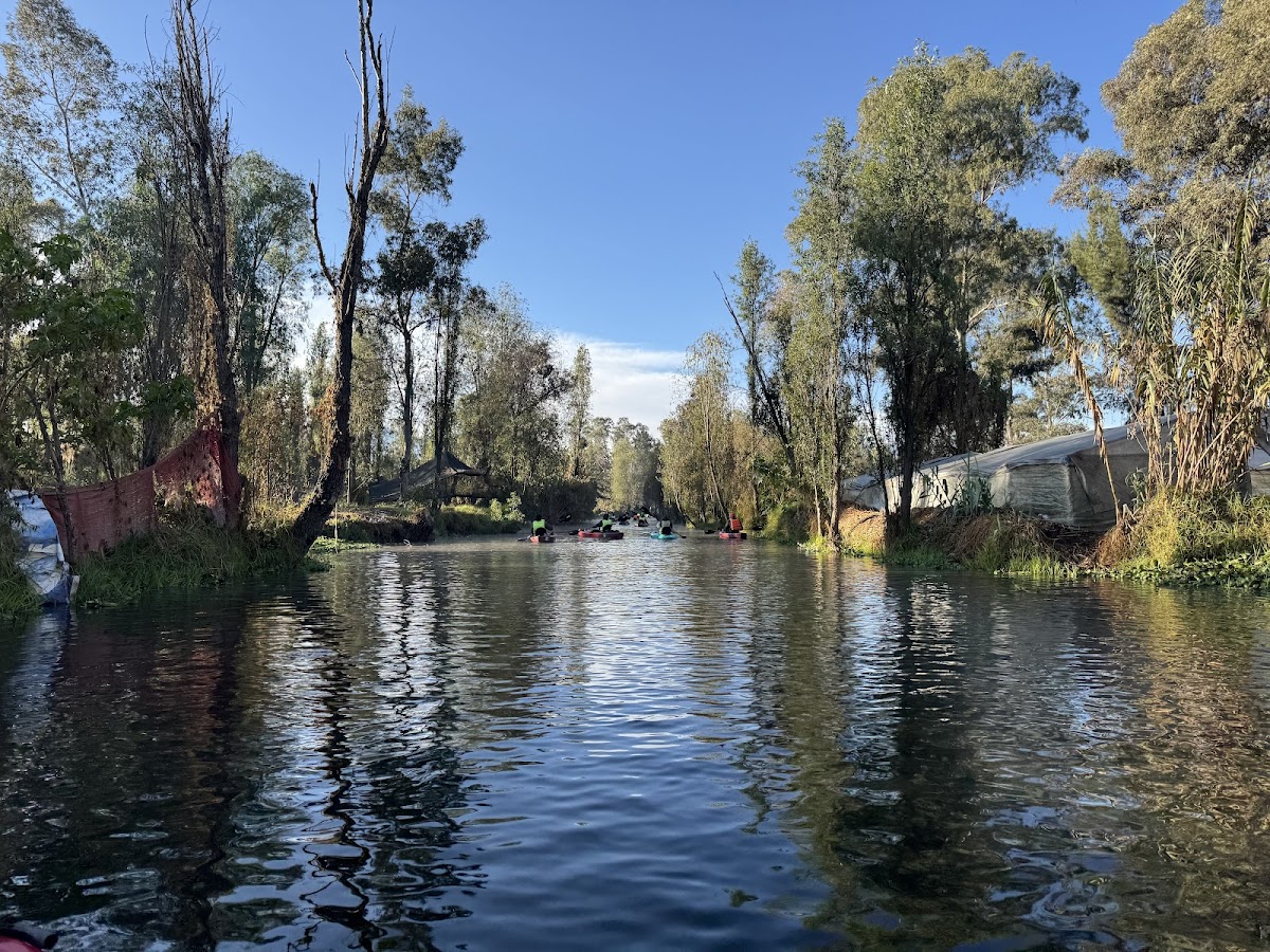 TRIBU KAYAK - Kayak en Xochimilco gallery 7