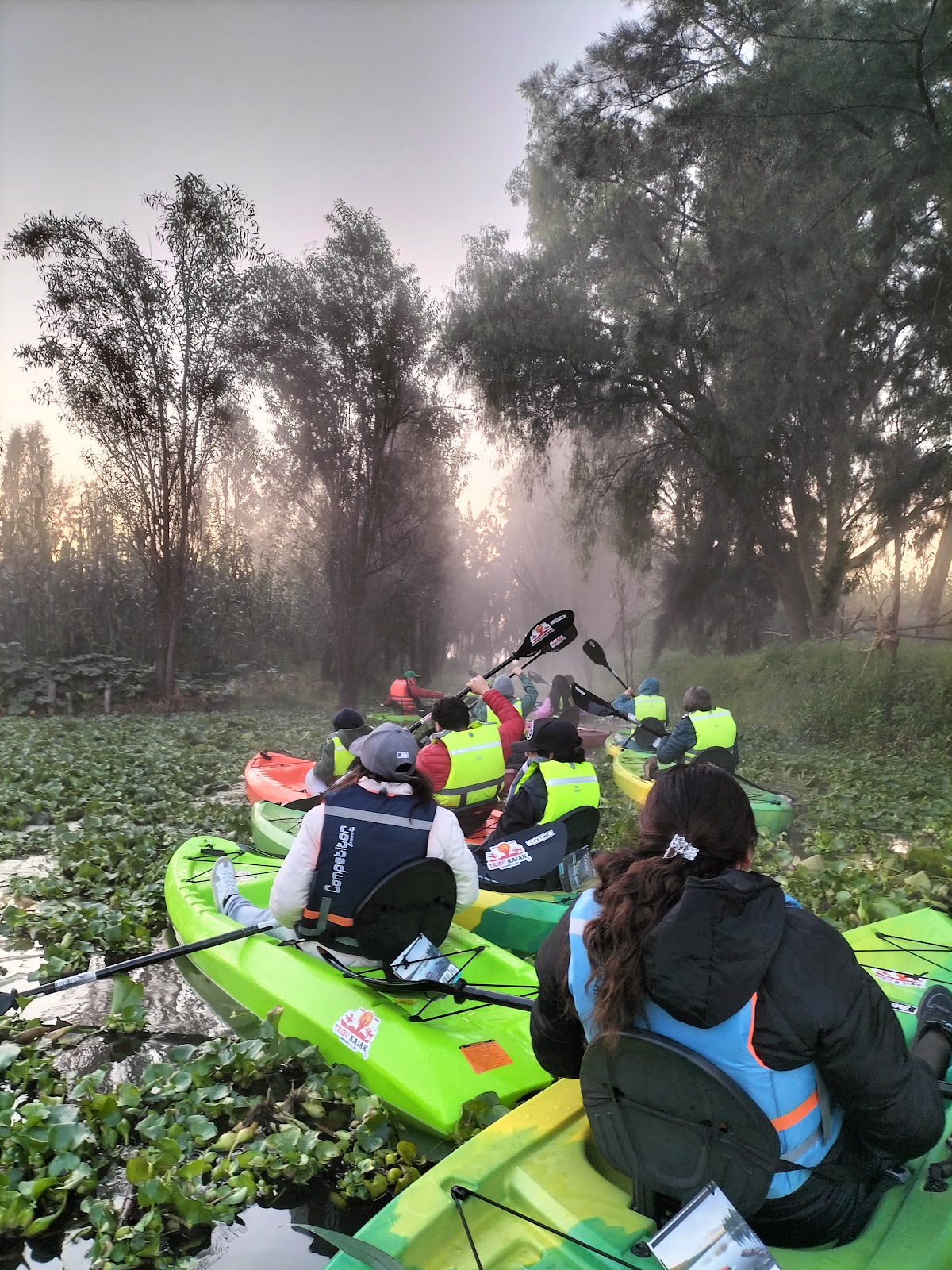 TRIBU KAYAK - Kayak en Xochimilco gallery 8