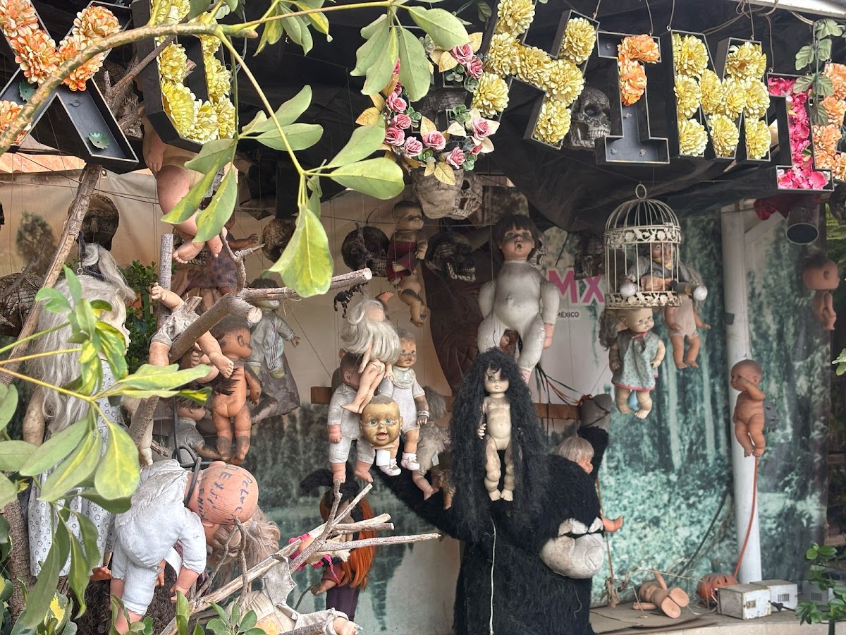Xochimilco Trajineras Caltongo gallery 4