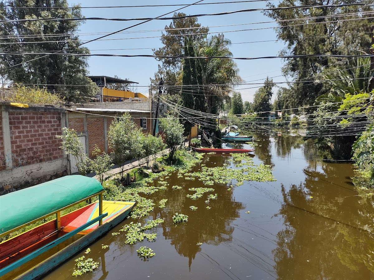 Xochimilco Trajineras Caltongo gallery 5