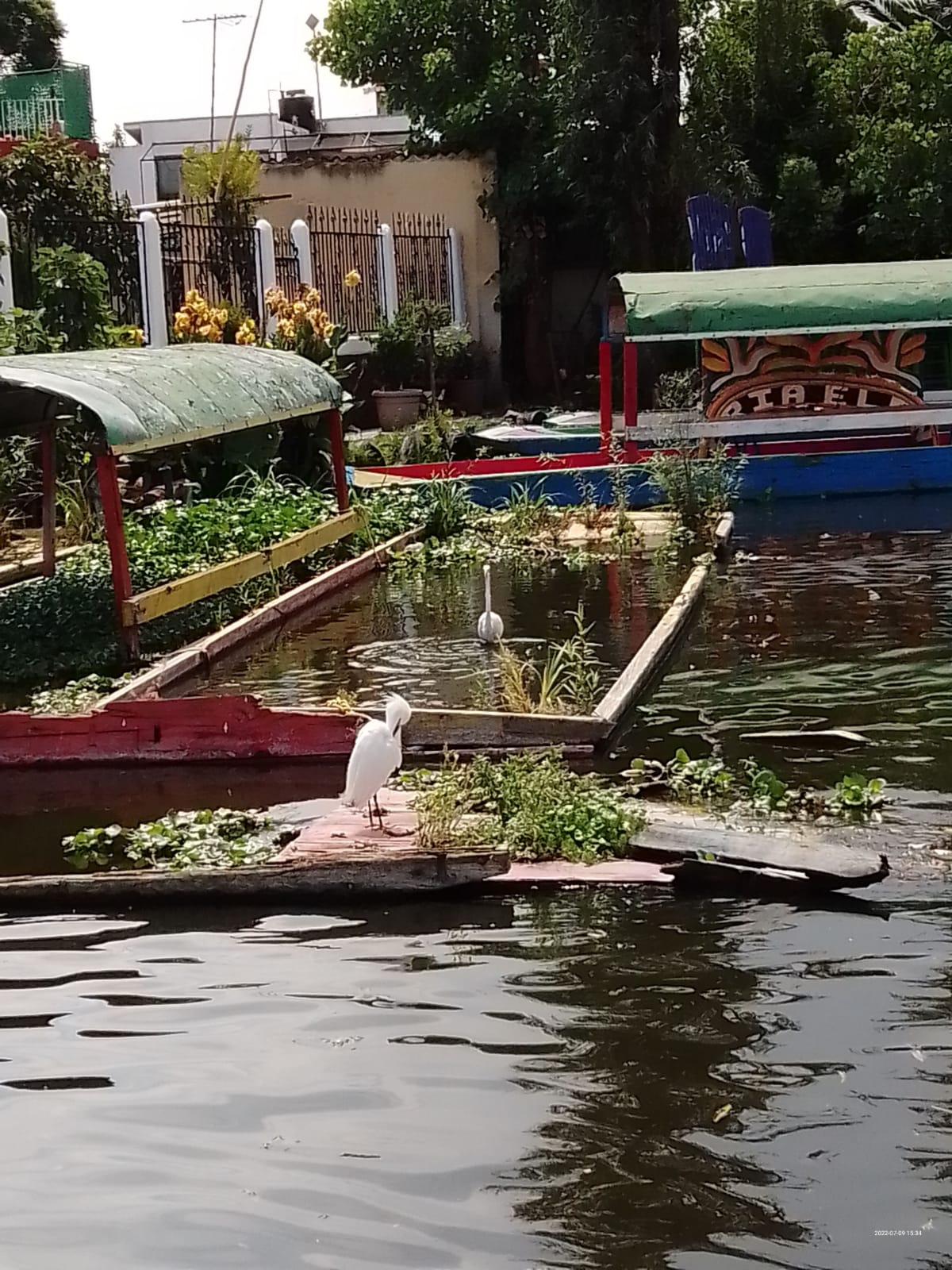 Xochimilco Trajineras Caltongo gallery 7
