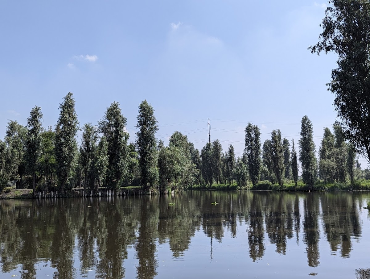 Trajineras Xochimilco - Embarcadero Cuemanco gallery 4