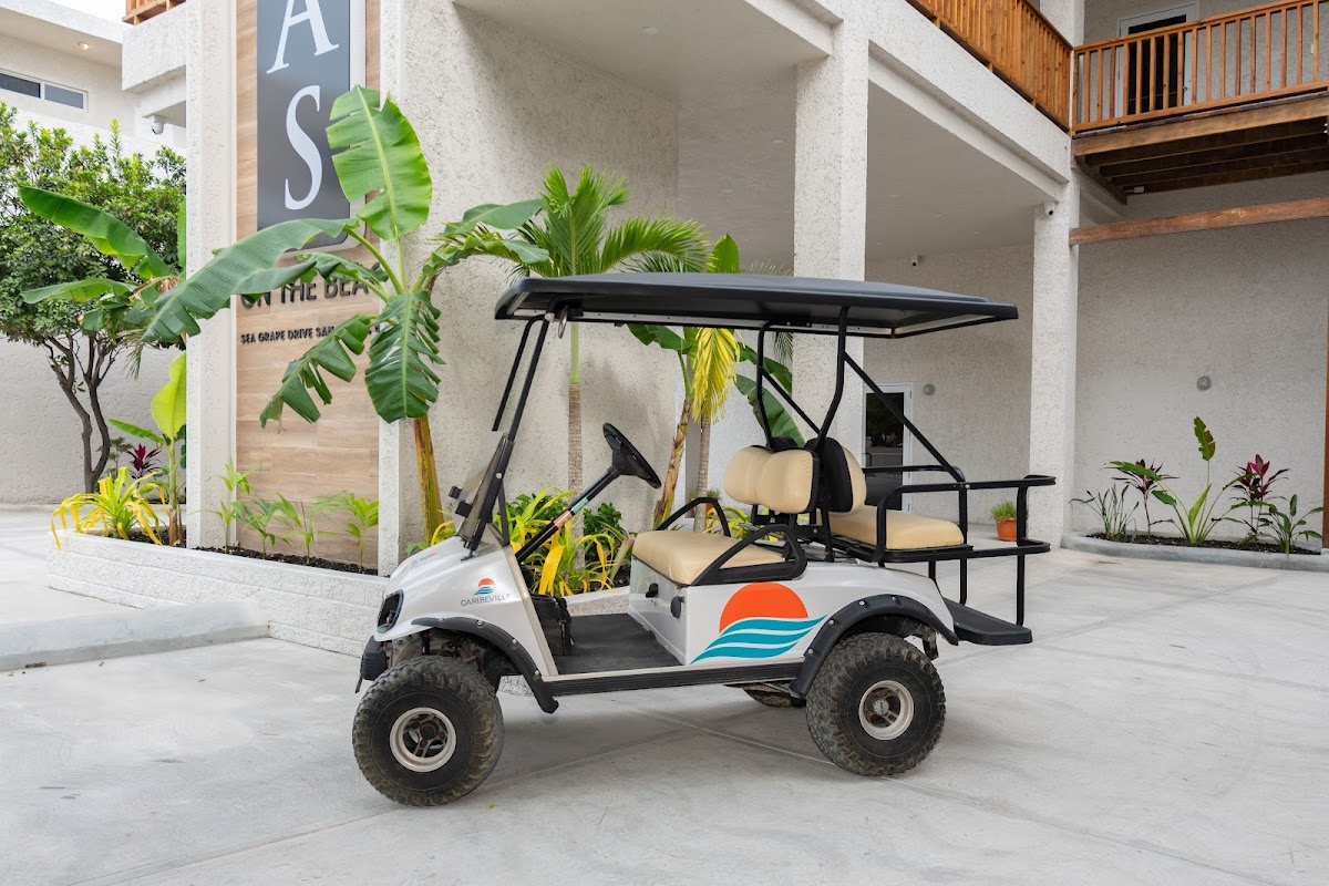 Bananas On The Beach gallery 7