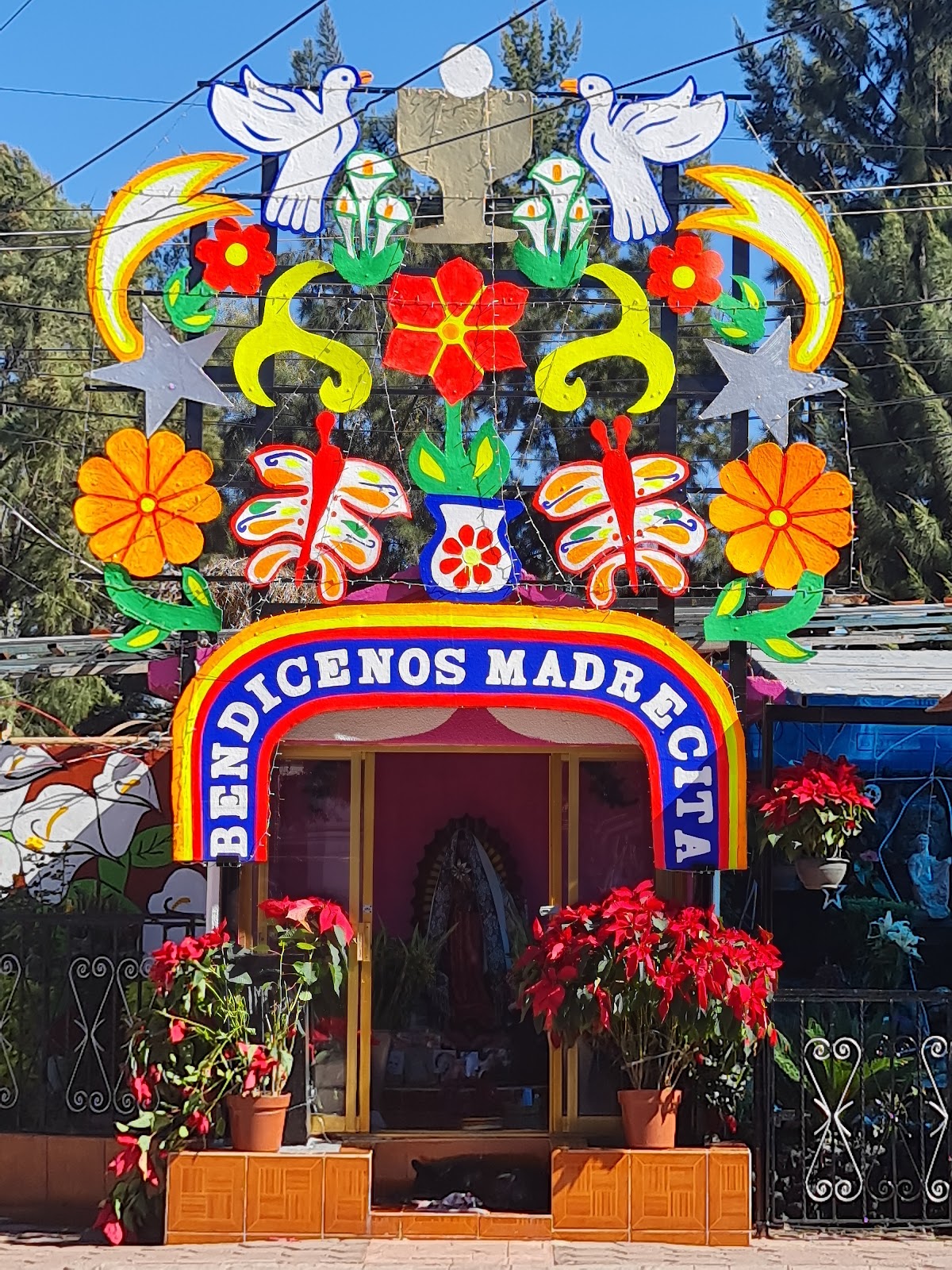 Las Trajineras gallery 9