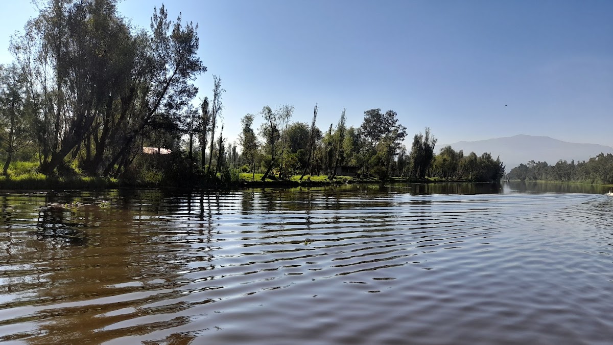 Parque Ecológico de Xochimilco gallery 6