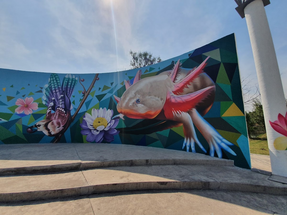 Parque Ecológico de Xochimilco gallery 8