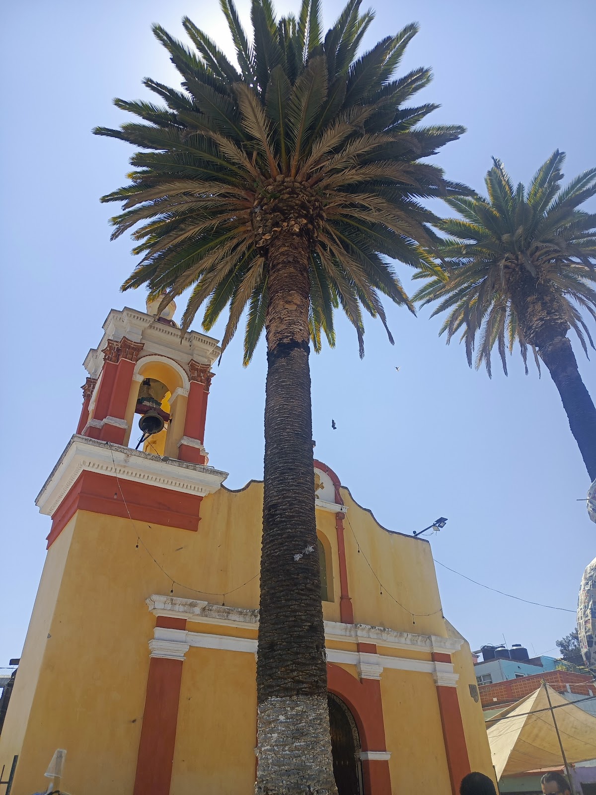 Barrio Chinampero Kayak Tours gallery 7